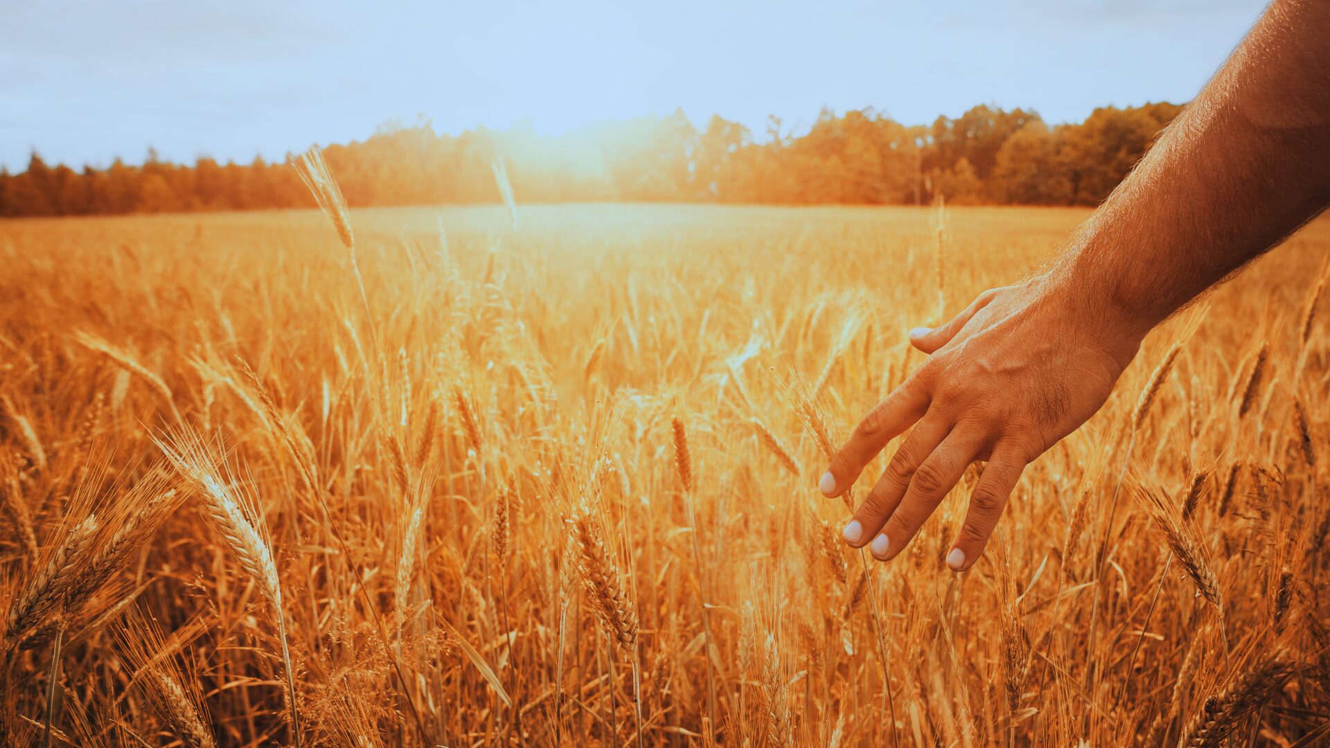Shavuot: A Vision of Shared Prosperity